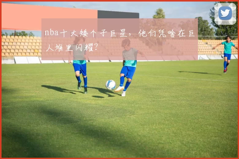 nba十大矮个子巨星，他们凭啥在巨人堆里闪耀？